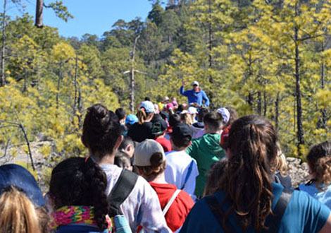 Free HTML5 Website Template by FreeHTML5.co